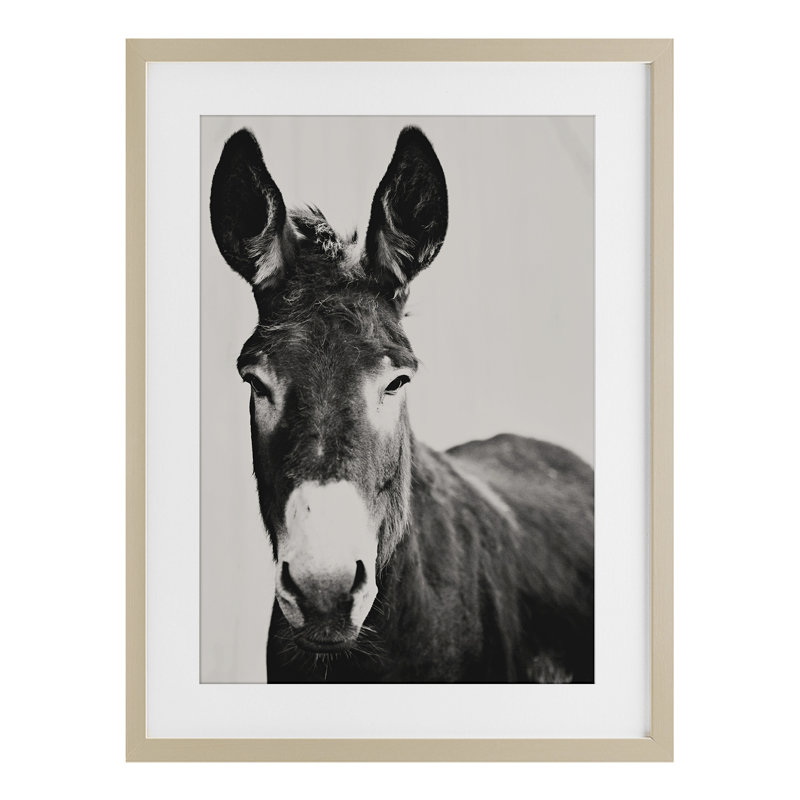 «Franz the Donkey», reproduction sous verre encadrée, design par Amy Carroll, H 23 po x l 17 po, Cadre de récolte en pin