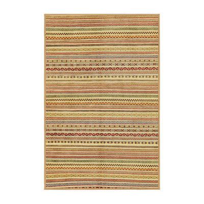 Striped Indoor Rug