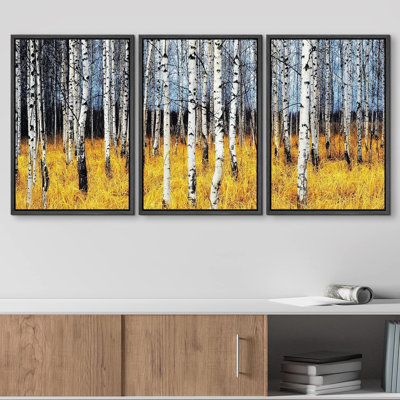 Aspen Birch " Aspen Trees Forest Yellow Grass Field Autumn Fall " 3 - Pieces