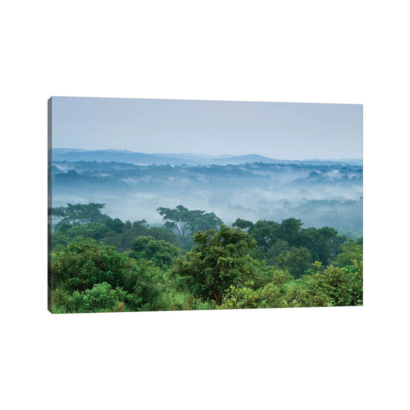 Tropical Rainforest, Kibale National Park, Western Uganda by Sebastian Kennerknecht - Wrapped Canvas Print