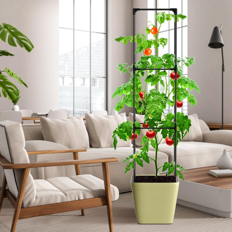 Self Watering Tomato Planter With Trellis, Large Flower Pot With Water Level Monitor