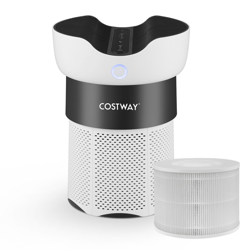 Costway 2-Pack purificateur d'air de remplacement 3-en-1 H13 True Hepa pour poussière de maison