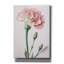 «Powder Pink Carnations» par Design Fabrikken, art mural sur toile-1419033466
