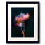 Flowers On A Dark Background Print-71201506-132872428