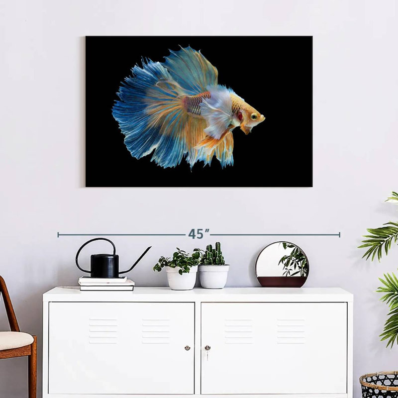 Brampt Sublime Fighter Fish, 24" H x 36" W