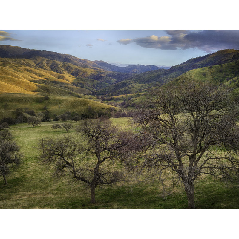 Cusp Of Spring Print by Harold Davis, Black Framed Canvas, 25" H x 33" W