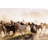 Yellowstone Wrangler by Urbancow-1080107252