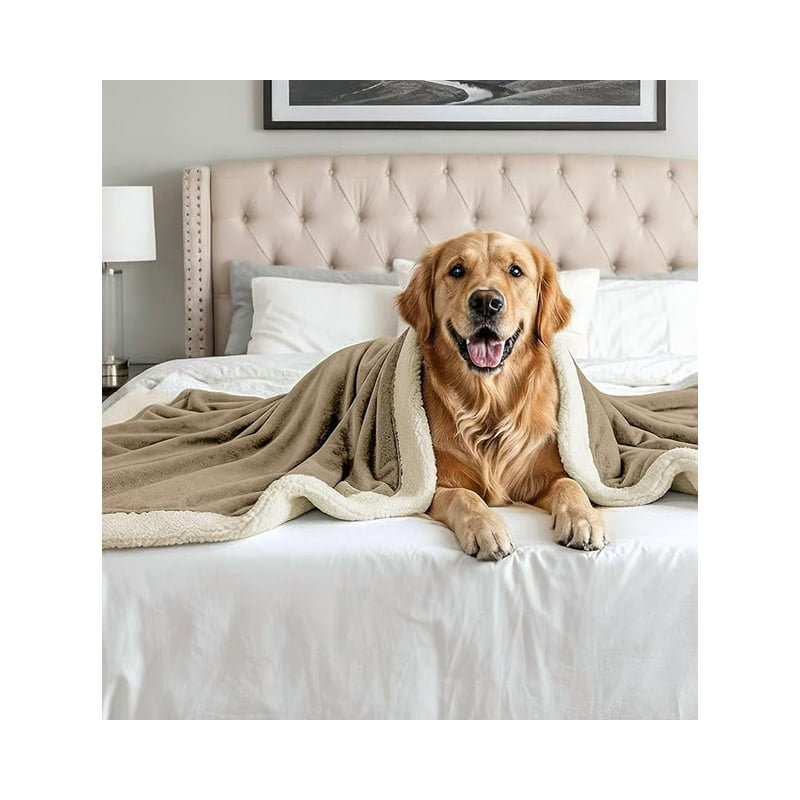 Ensemble de 4 jetés en polaire Beddora Sherpa - flanelle réversible et jeté en sherpa 50 x 60 pouces, couverture ultra chaude 450 g / m² pour canapé-lit, brun