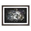 Cat Licking its Paw - Framed Print-56917440-56917445
