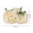 Arrangement-589520561-589520563