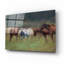 «Southern Horses» par Valtcho Tonov-101618537