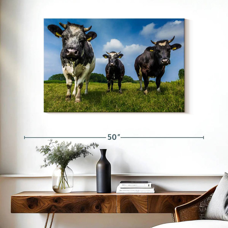 Vache, H 26 po x l 39 po