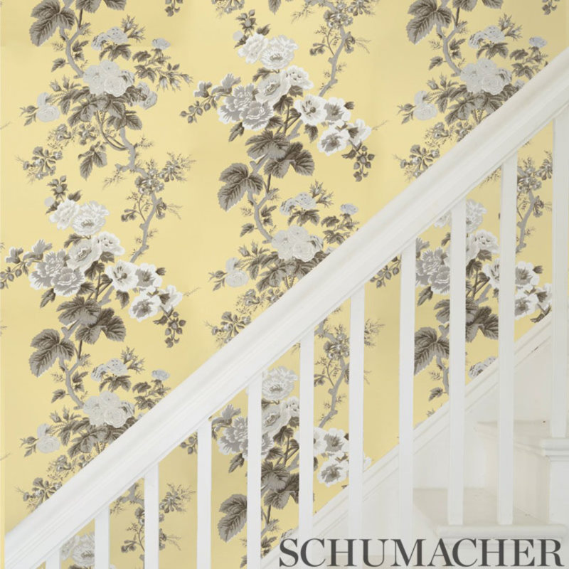 Pyne Hollyhock Wallpaper, Buttercup