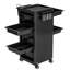 33cm H x 14.1cm W Utility Cart