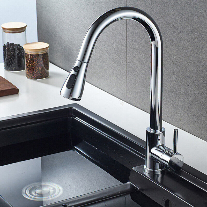 Belfry Kitchen Bauerle Pull Out Kitchen Faucet