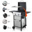 Portable Propane Gas Grill with Enameled Wire Cooking Grates