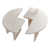 Bois blanc