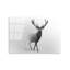 Boze Print on Glass