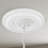 Ceiling Medallion-6108864