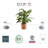Ecopots Indoor/Outdoor Modern Round Recycled Plastic Planter Flower Pot-295213189-287941827-314918778