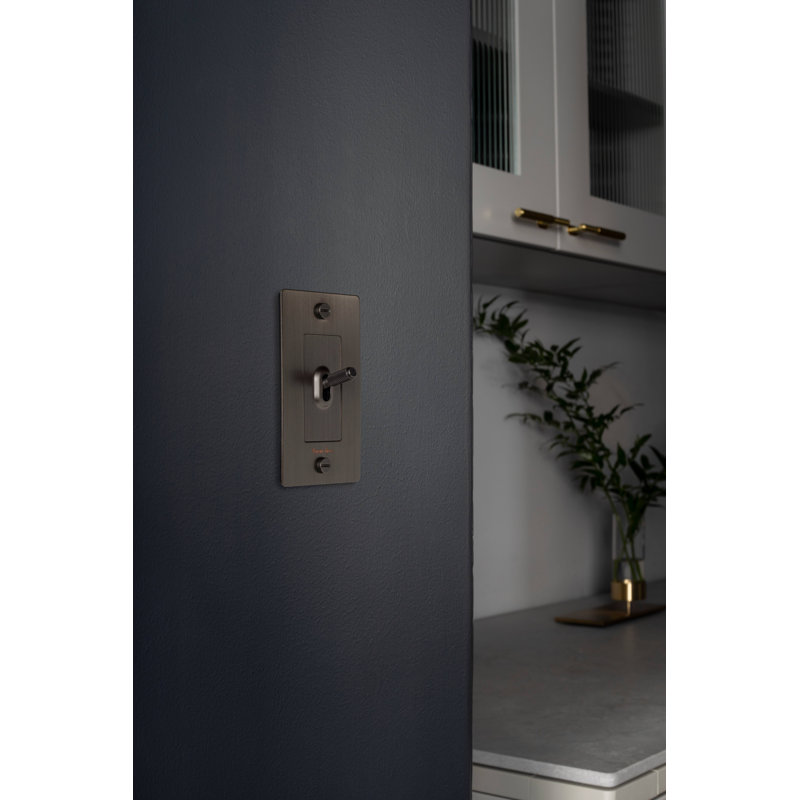 1G Toggle Switch / Logo, Brass