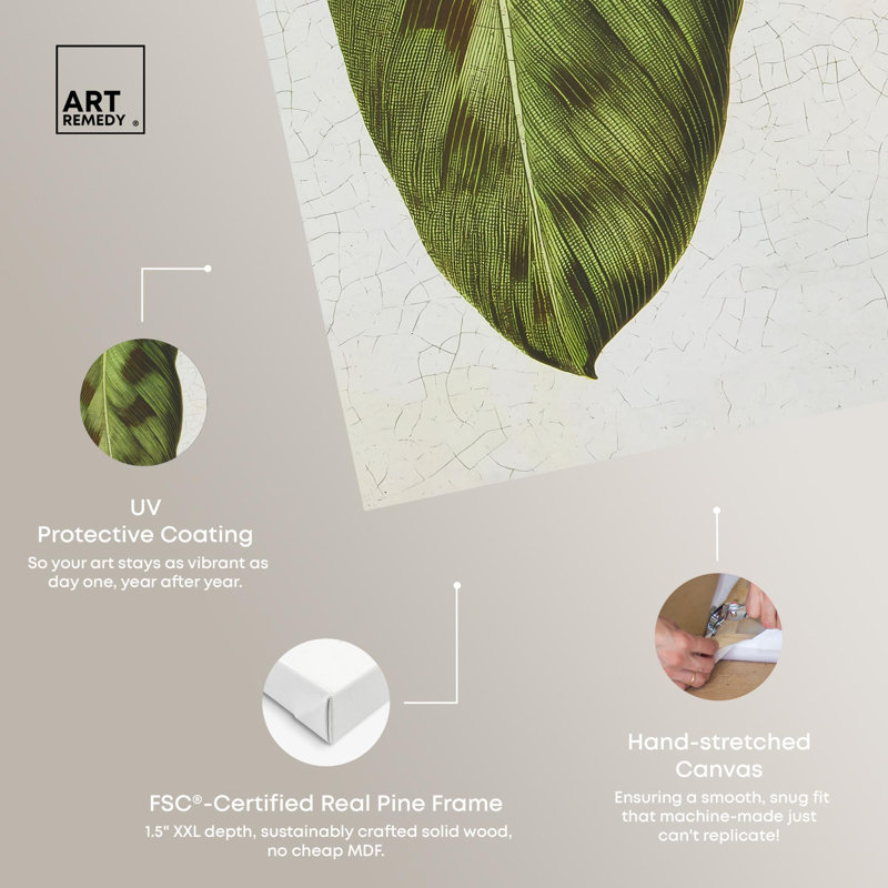 «Rattlesnake Leaf Botanical Decor», reproduction d'art sur toile par Art Remedy, H 30 po x l 20 po, Toile tendue avec châssis