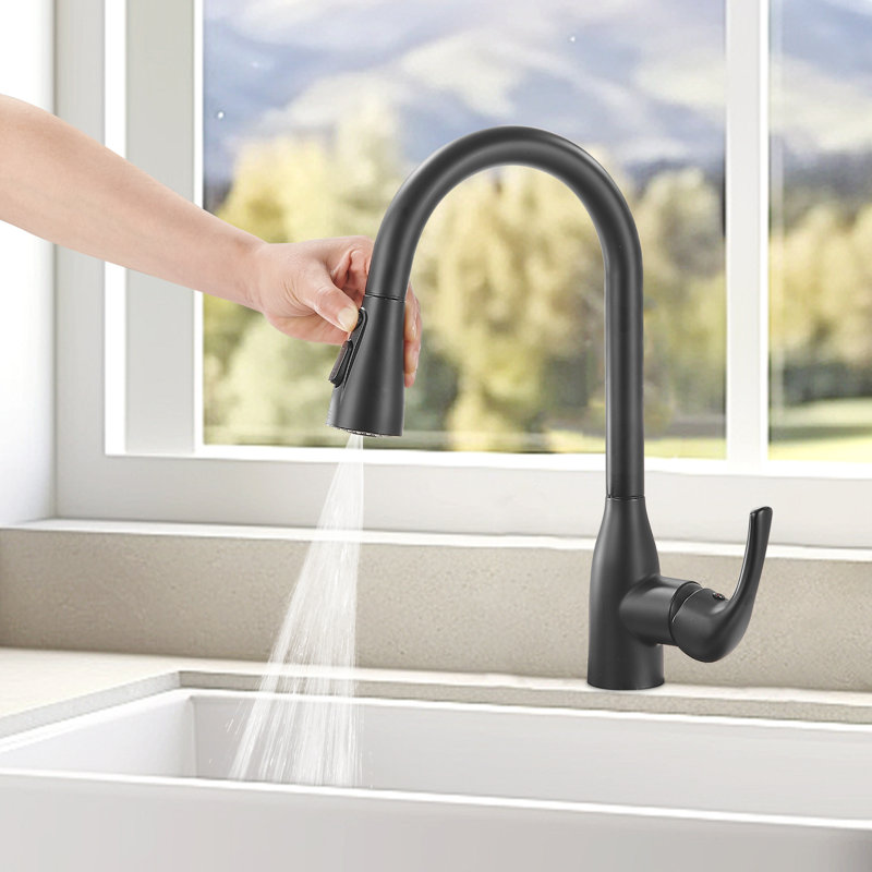 Robinet de cuisine rétractable à poignée simple avec accessoires, Noir mat