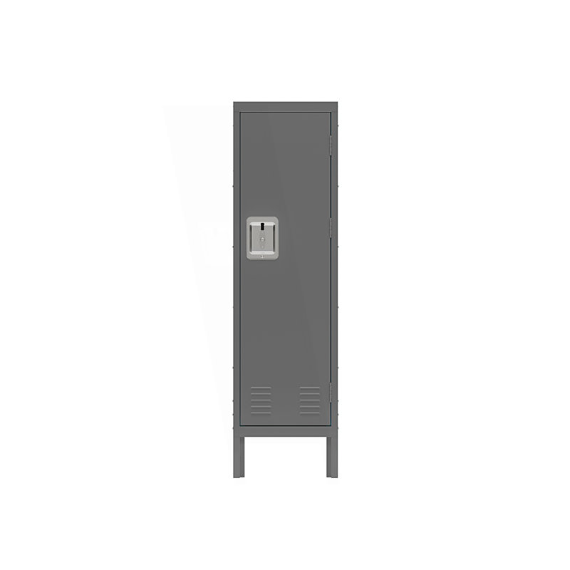 Armoire de rangement moderne 1 porte, Gris