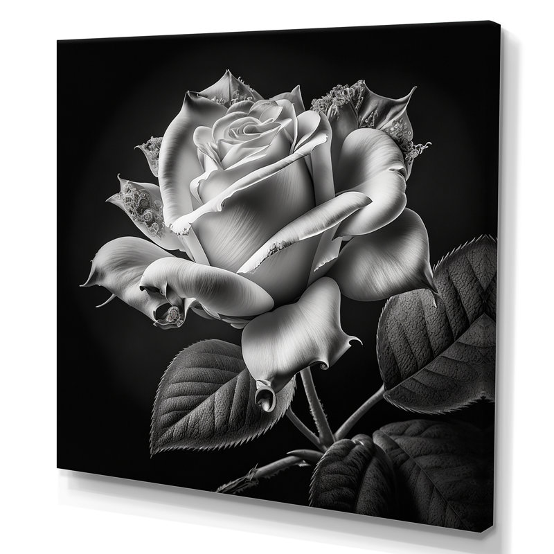 «Blossoming White Rose On Black II», art mural rose, H 24 po x l 24 po x P 1 po, Toile tendue