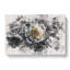 A Crisp White Rose - Wrapped Canvas-56665219