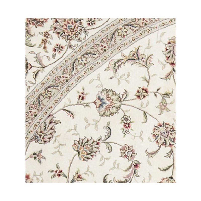 Elegance Oriental Area Rug in Ivory