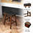 Nenia Counter Stool with Solid Wood Frame