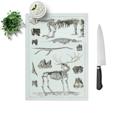 Tempered Glass Animal Bones IV Chopping Board