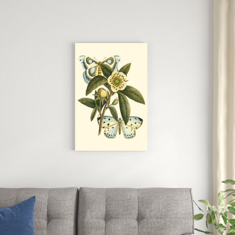 Oasis papillon I