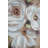 Olive Square Framed Flower Canvas Wall Art