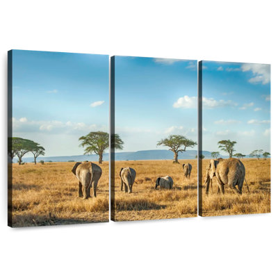 Brampt Serengeti Elephants