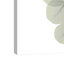 « descending eucalyptus 4 », reproduction d’impression sur toile tendue-23604653
