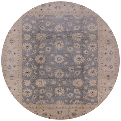 Chesney Oriental Indoor Rug