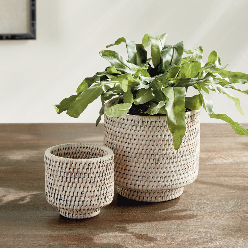 BURMA RATTAN CACHEPOTS SMALL, White