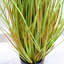 Andin 120cm Plant