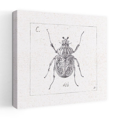 Art contemporain Beetle Art contemporain