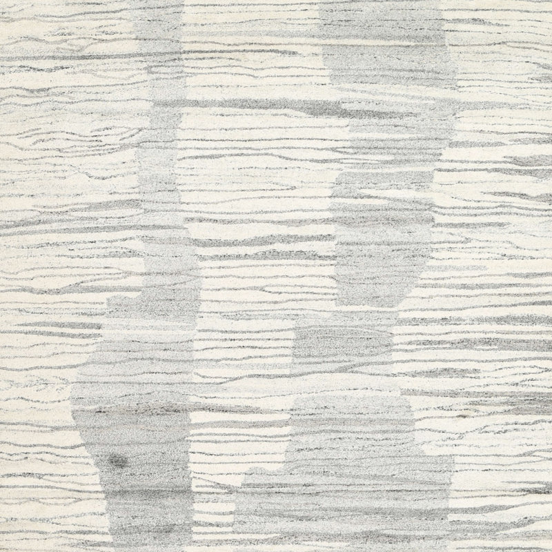 Tapis beige contemporain, Rectangle 5 pi x 7 pi