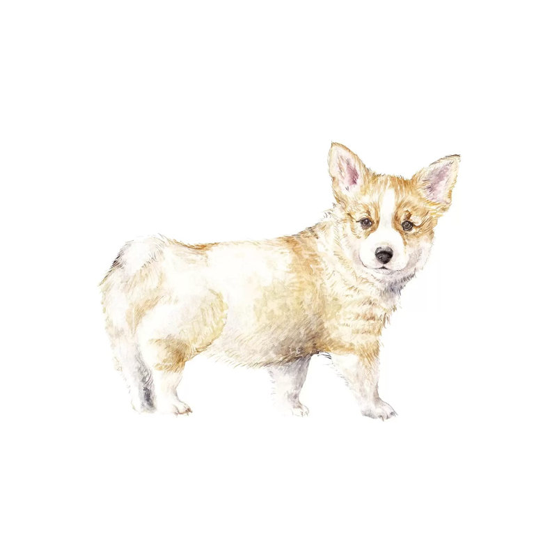 Corgi Puppy 1 Piece Wrapped Canvas Painting, 45.72 cm H x 45.72 cm W x 1.91 cm D