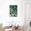 Succulent Harnek Emerald-106970762