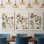 Pressed Flower Arrangement IV - Ensemble de 3 peintures sur toile encadrées-990433036-990433039