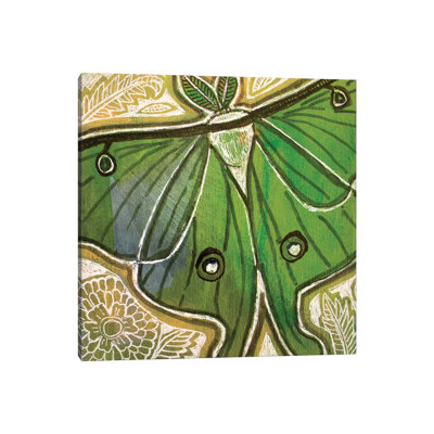 Little Luna Moth by Lynnette Shelley - Wrapped Canvas Print