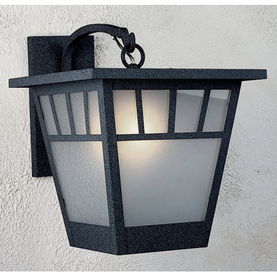 Lanterne murale d'extérieur 1 lumière Savannah