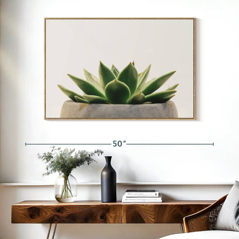 Plante grasse en pierre, Cadre flottant en bois naturel, 40 po x 27 po
