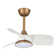 Haywa 28'' Ceiling Fan with LED Lights