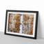 Birch Trees in Autumn - Framed Print-55466180-55466184